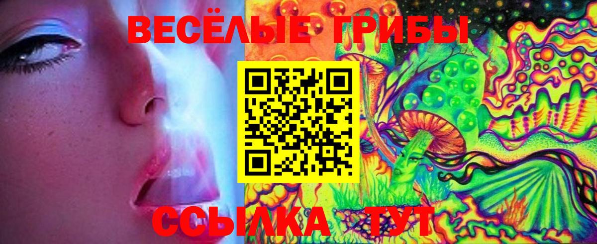 Псилоцибиновые грибы GOLDEN TEACHER Тихорецк