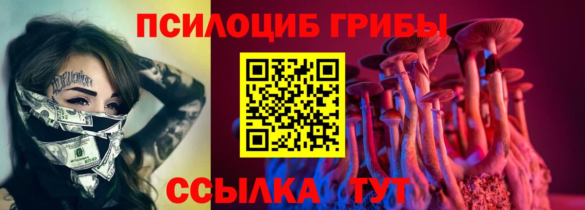 Тихорецк  Галлюциногенные грибы мухоморы  Вход с VPN 